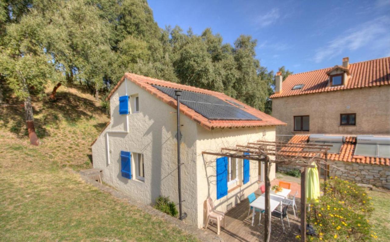 Gites Carbuccia En Corse Avec Piscine Chauffee エクステリア 写真