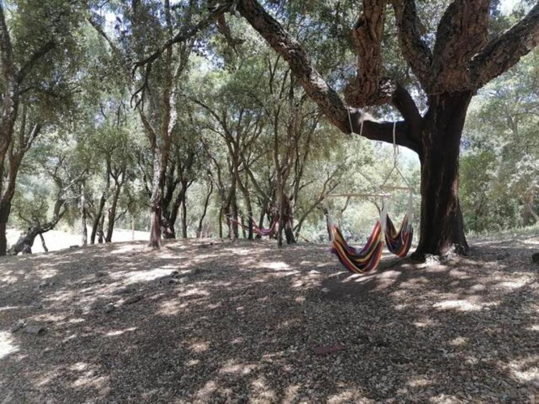 Gites Carbuccia En Corse Avec Piscine Chauffee エクステリア 写真